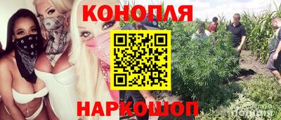 каннабис Будённовск
