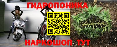 шишки Бугуруслан