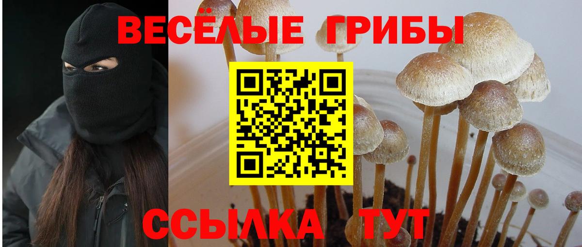 Богданович  Псилоцибиновые грибы ЛСД  Вход с VPN 